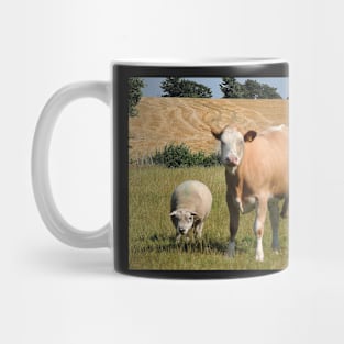 This Is Our Territory Mug